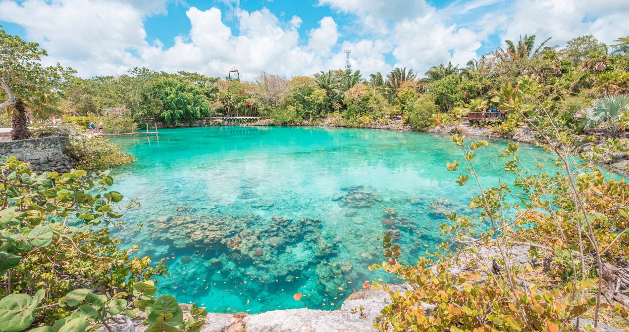 Mexiko und Grand Cayman