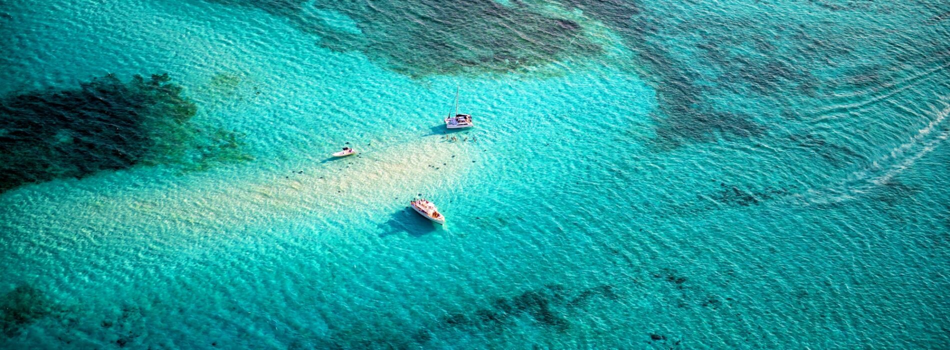 Stingray bucht